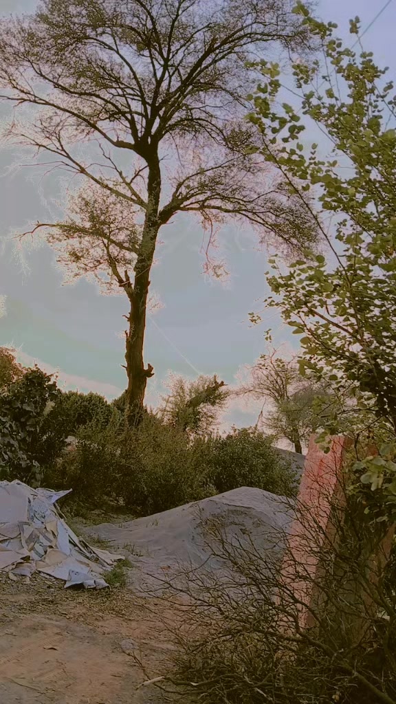 @༺𝕮͚𝖍͚𝖆͚𝖓͚𝖉͚𝖆͚𝖇͚𝖆͚𝖇͚𝖚
