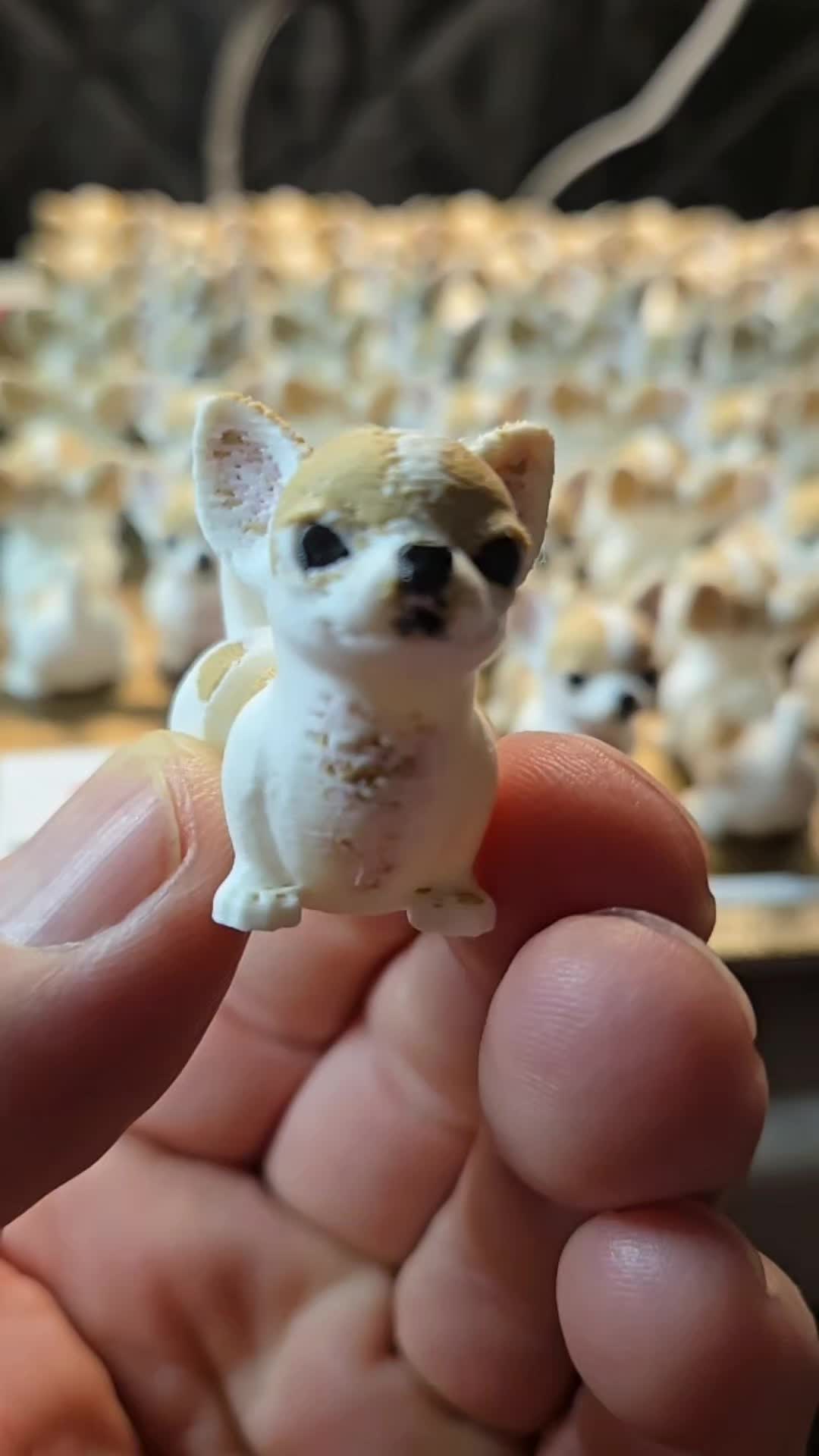 @MrWizzzzard