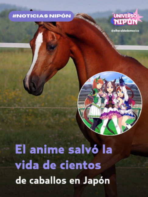 @elheraldodemexico