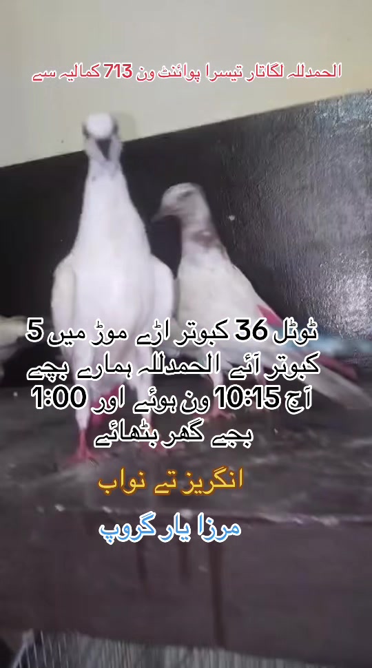 @Mirza Yar Mirza Yar