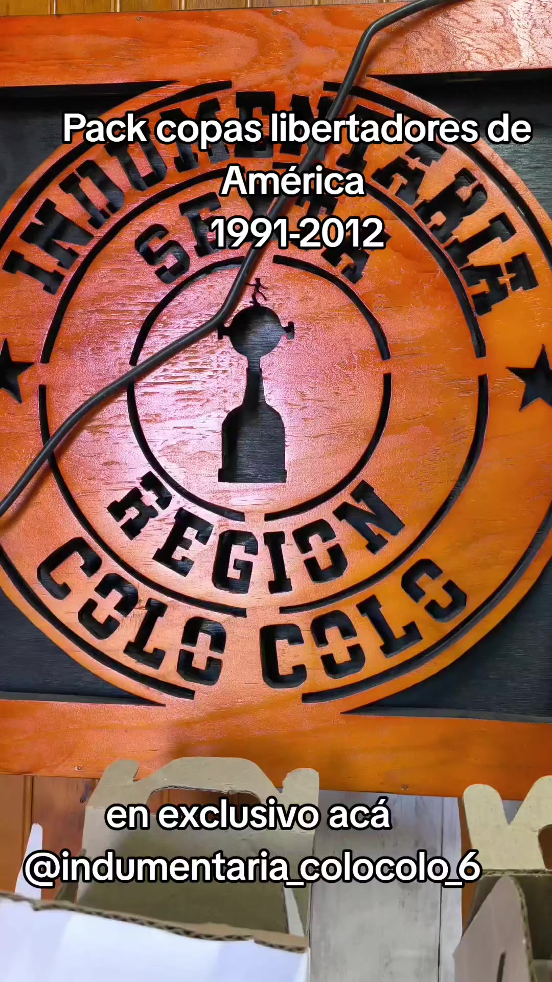 @indumentaria_colocolo_6