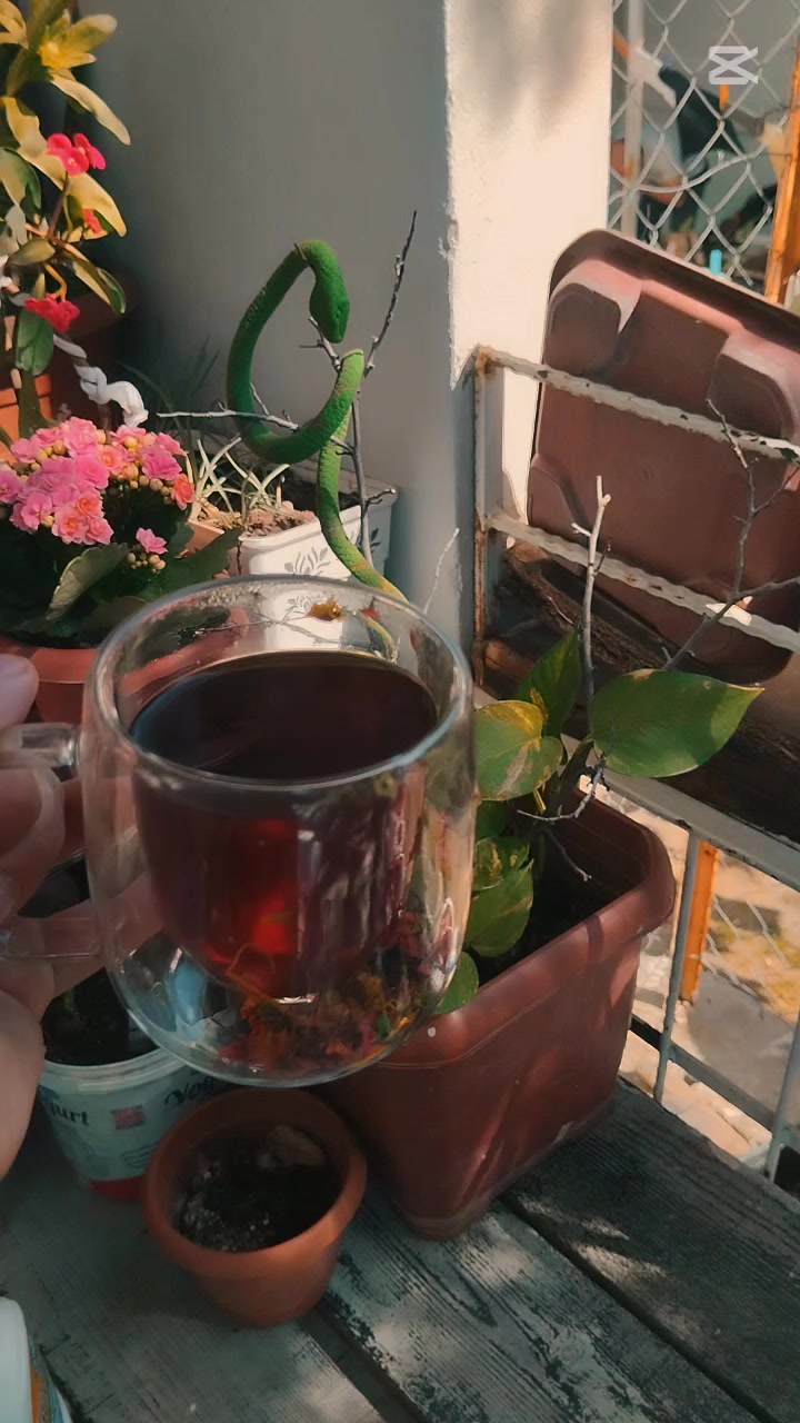 @🌼