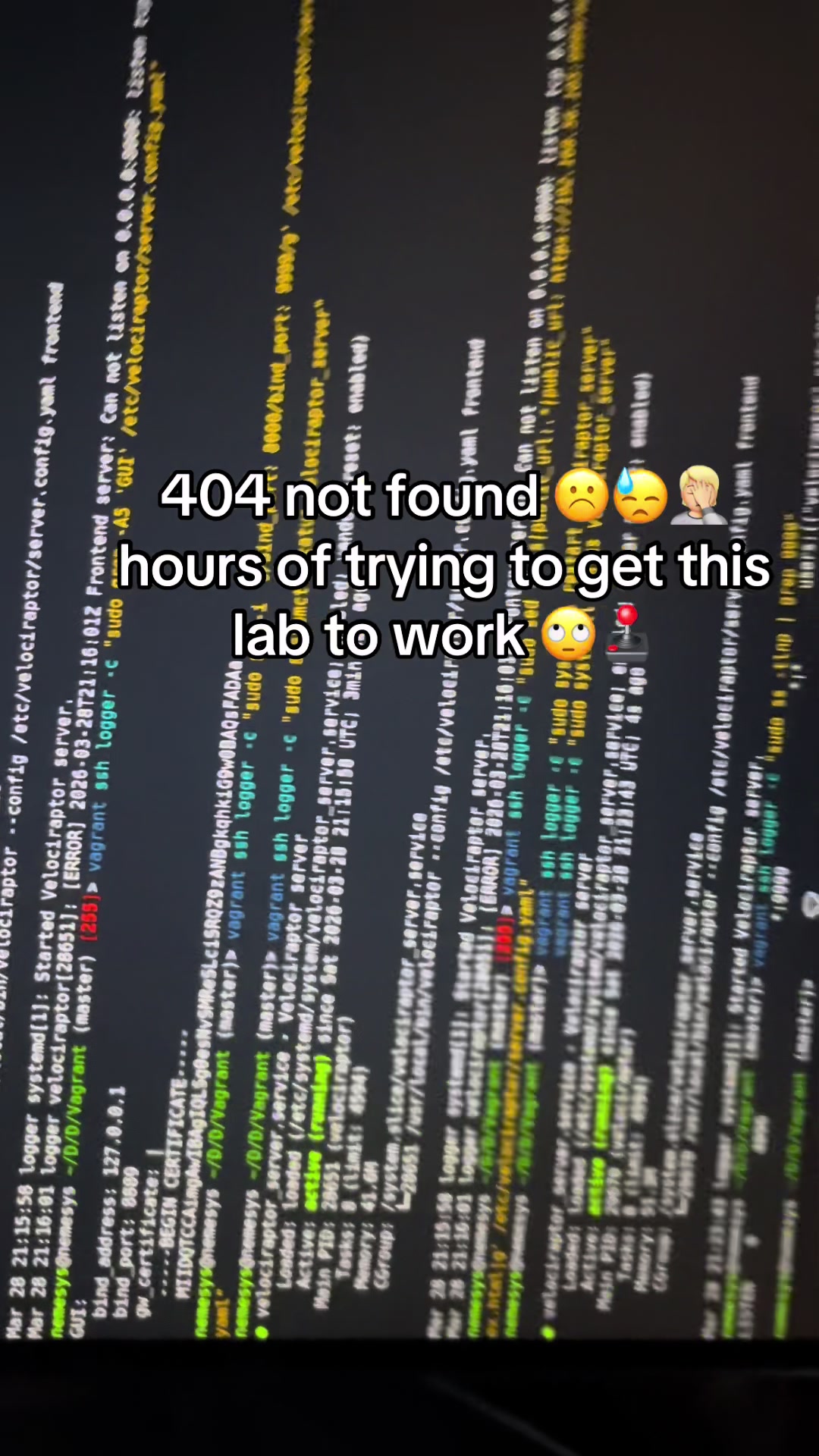 @NemeSys