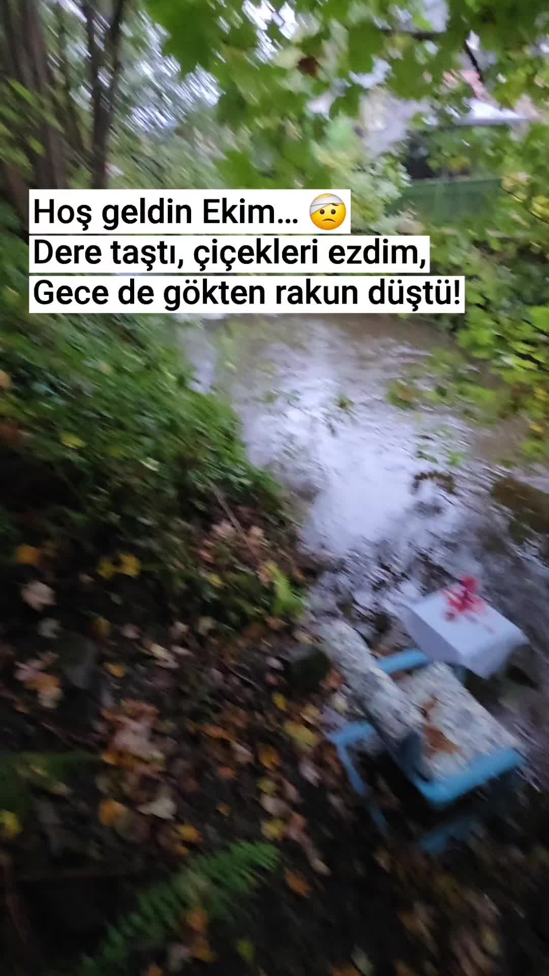 @meralworld