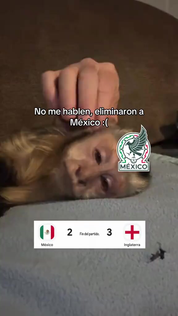 @danielsanchezofficial