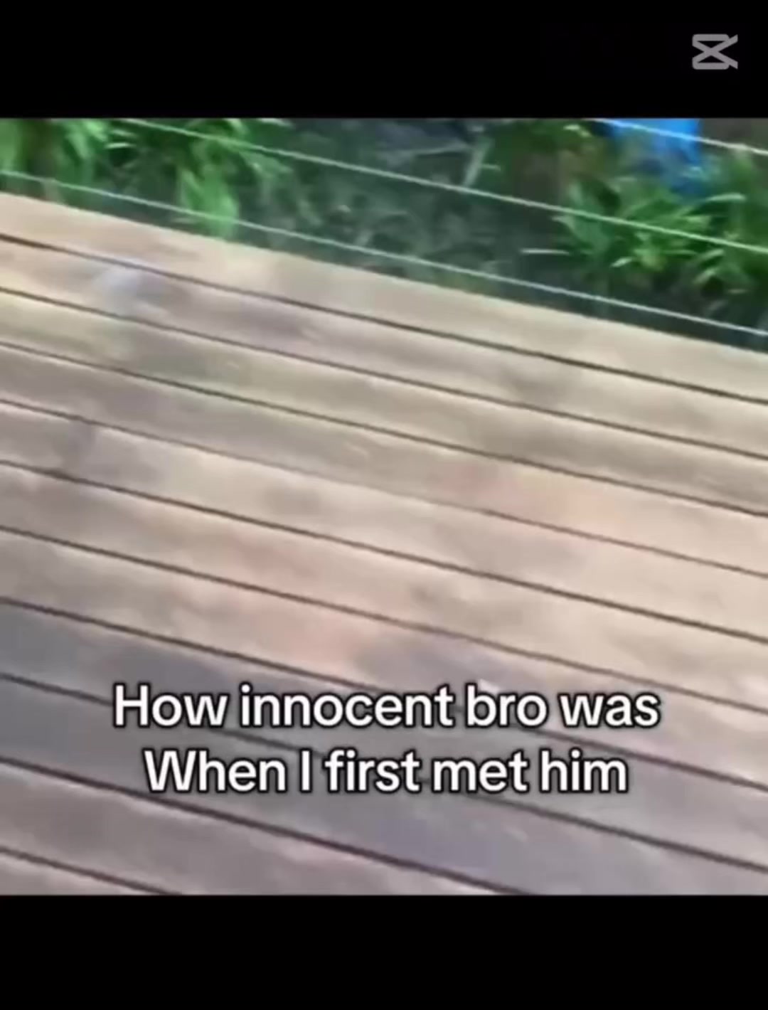 @Meme_FYP