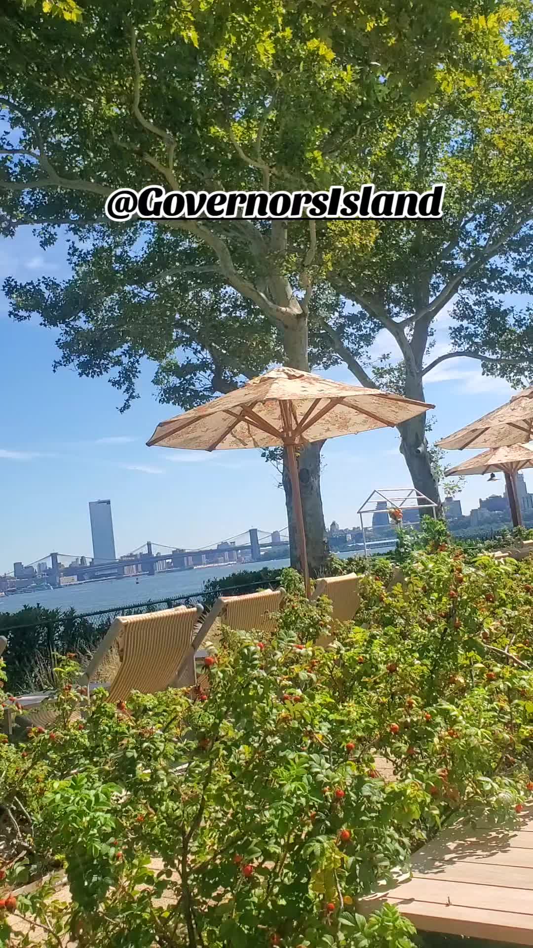 @🌺🧿 Rosh_Ram 🧿🌺