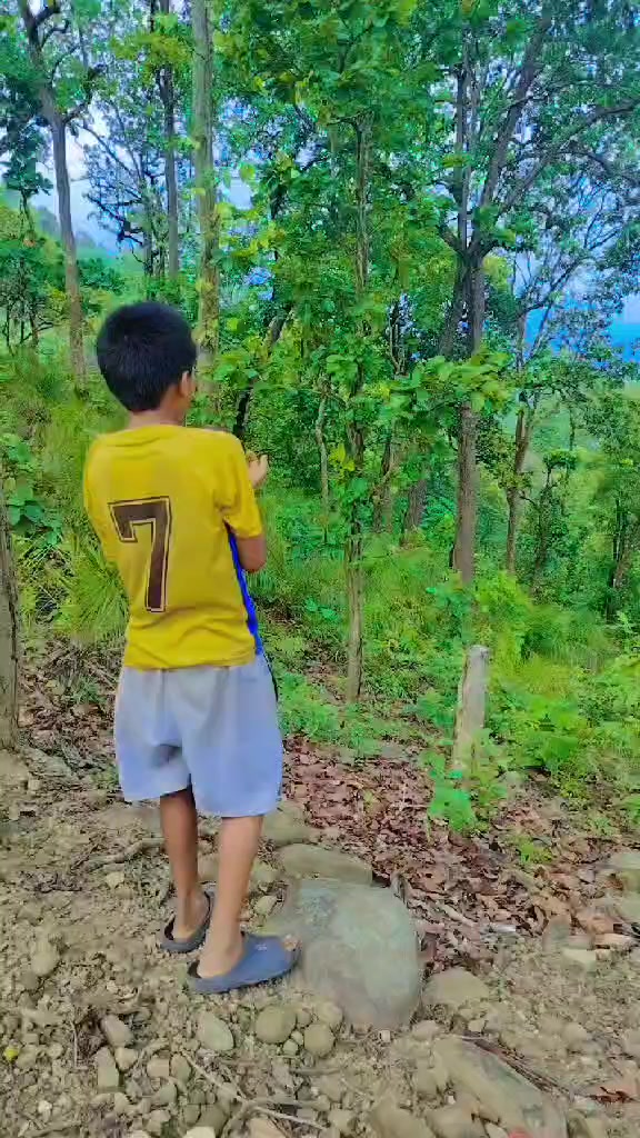 @DibasTamg