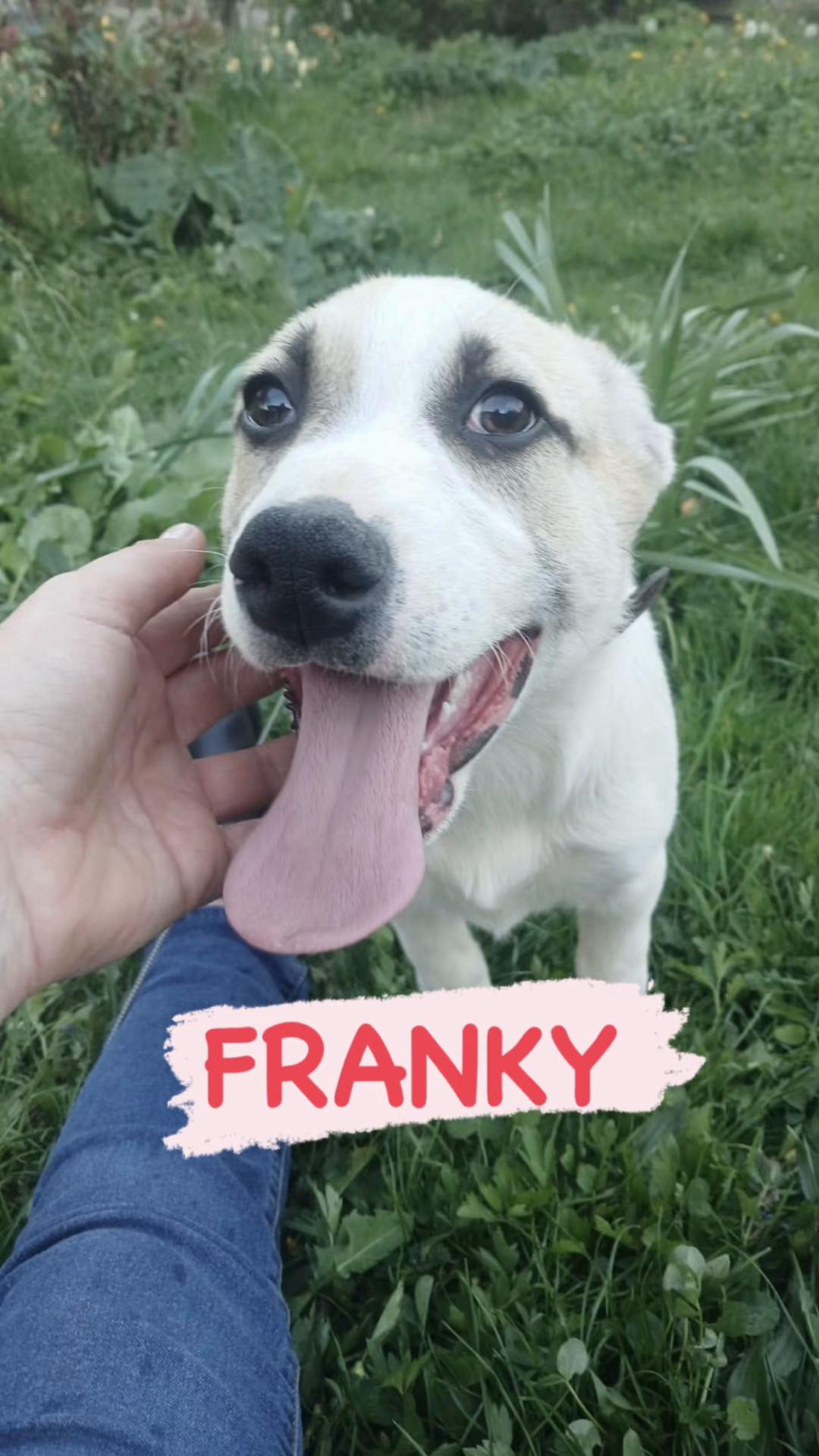 @Hundeherzkommando 🐾