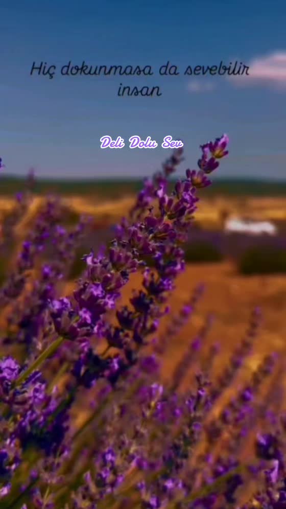 @~ Deli Dolu Sev ~