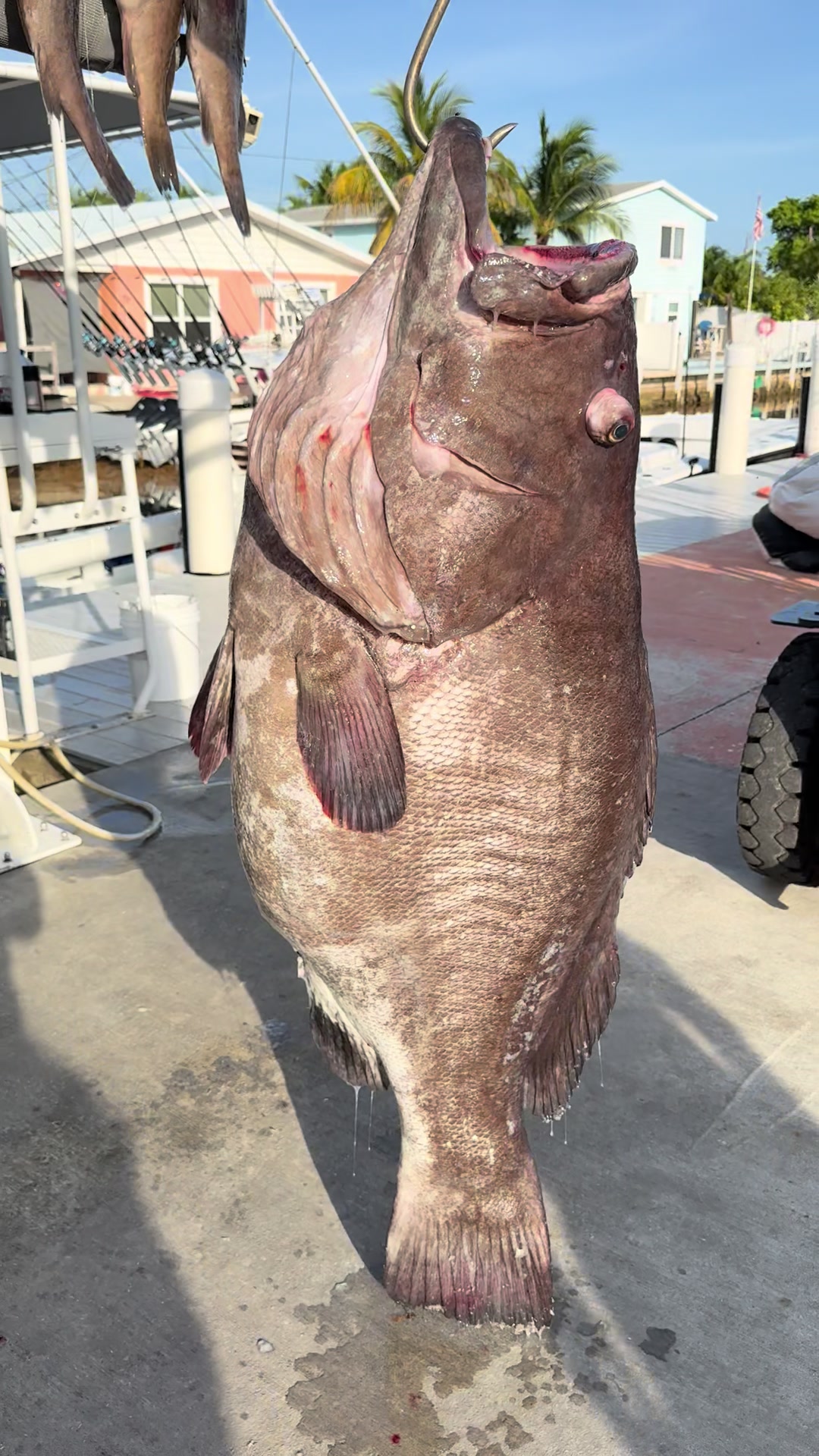 @TwoConchs