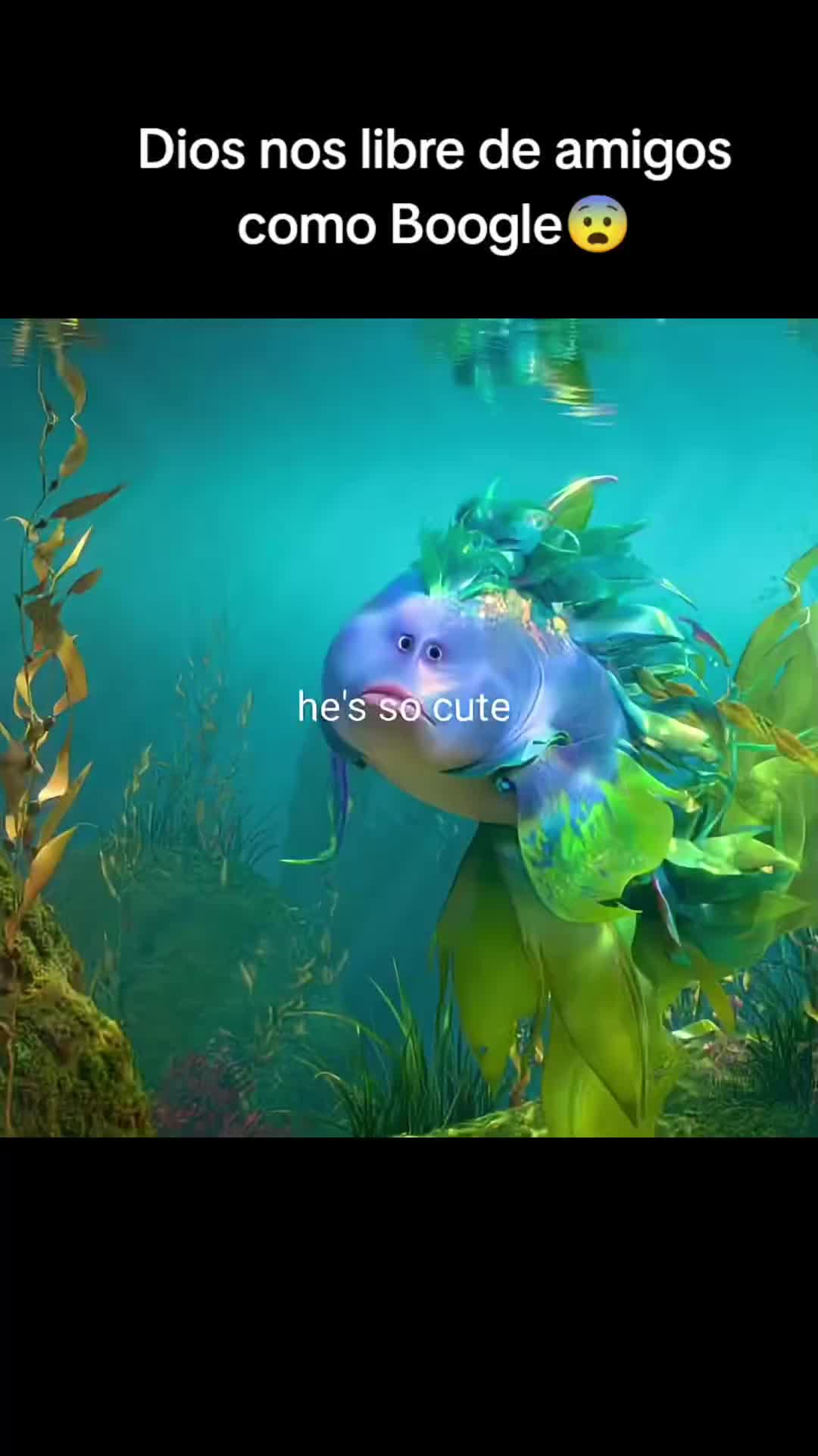 @Edit pro