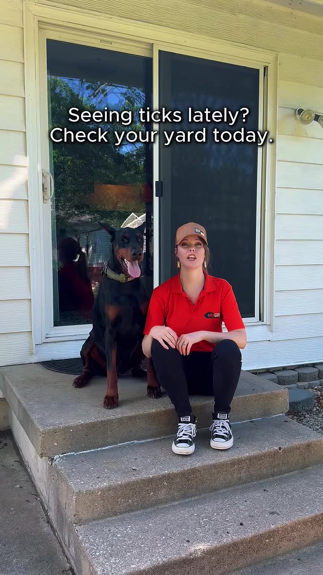 @Rock Pest Control