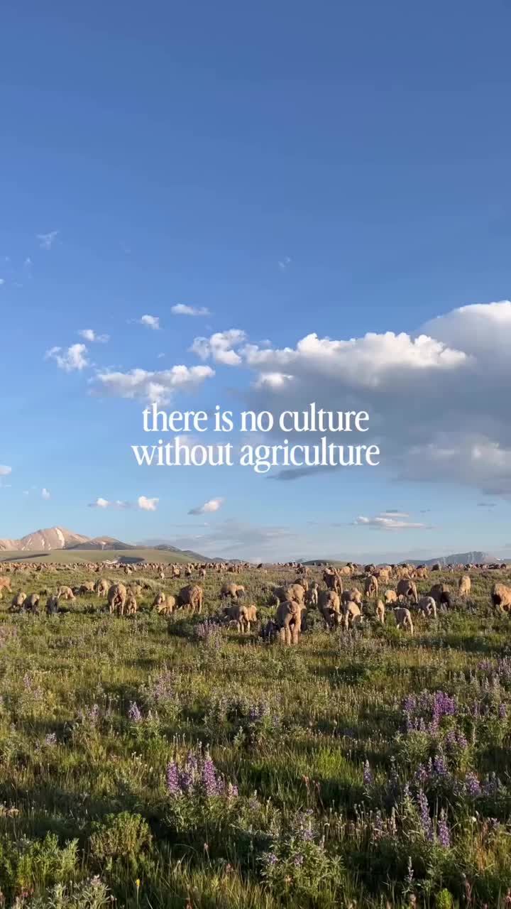 @discoverag