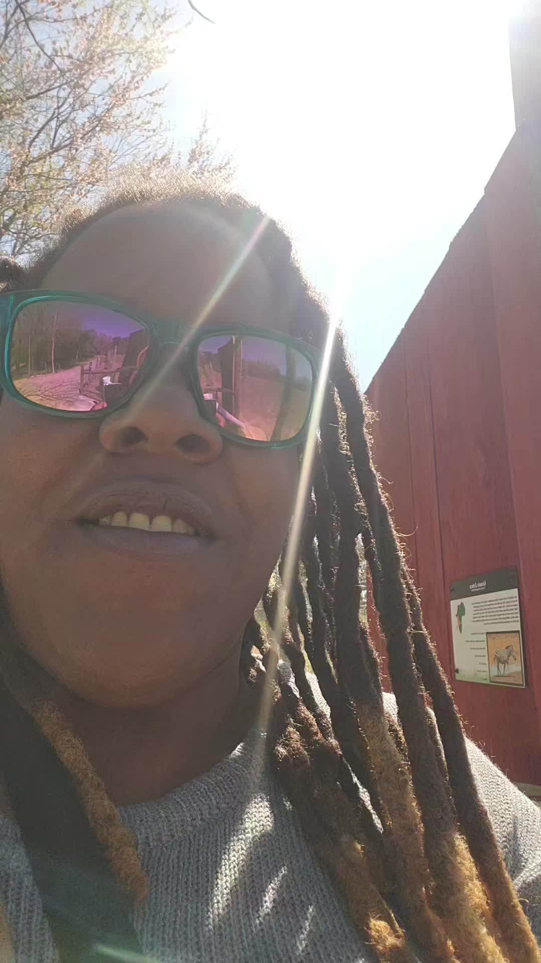 @Toyaaaa