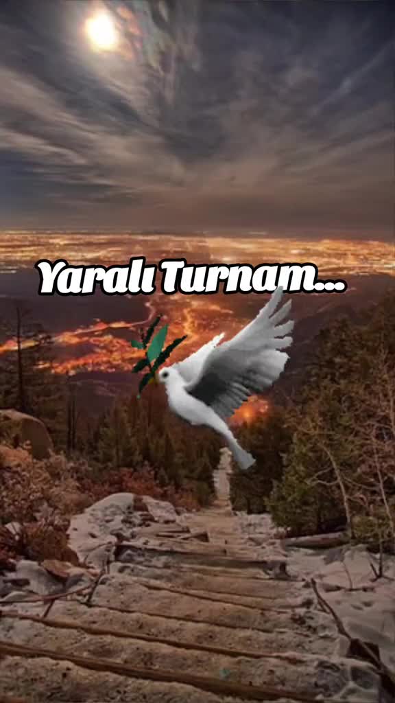 @TOPRAK