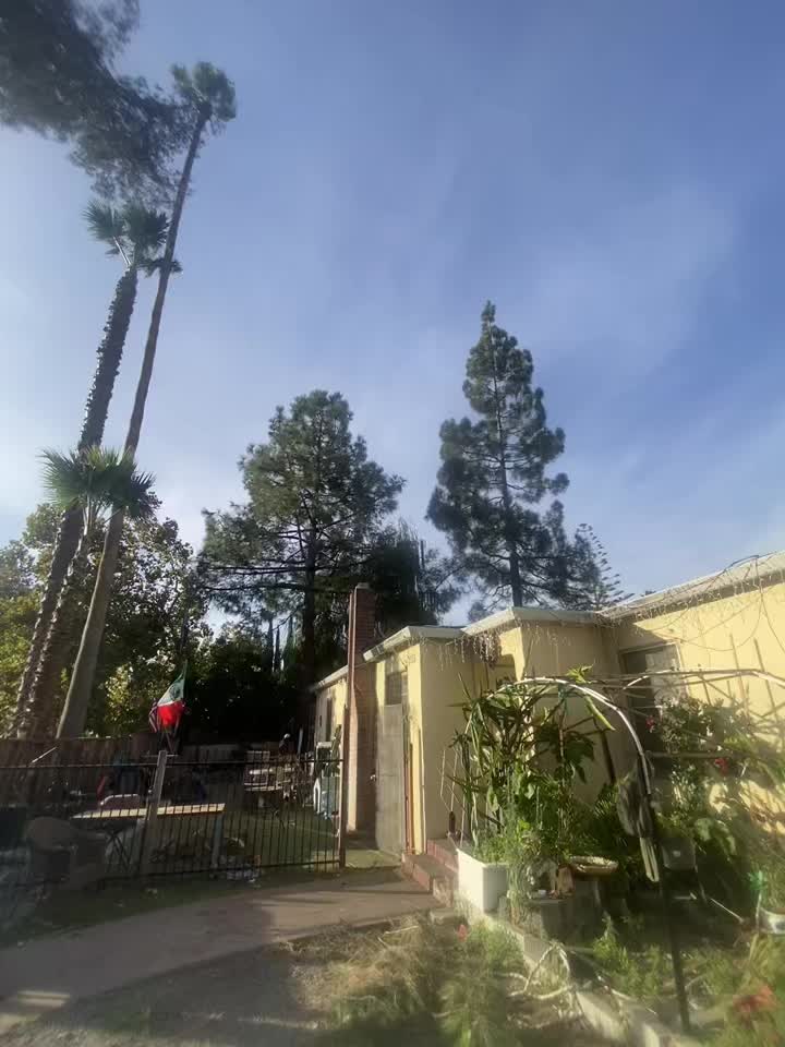 @Leonel Cortez