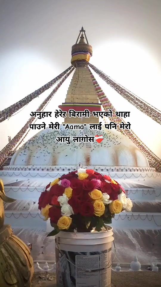 @Bishu Shrestha
