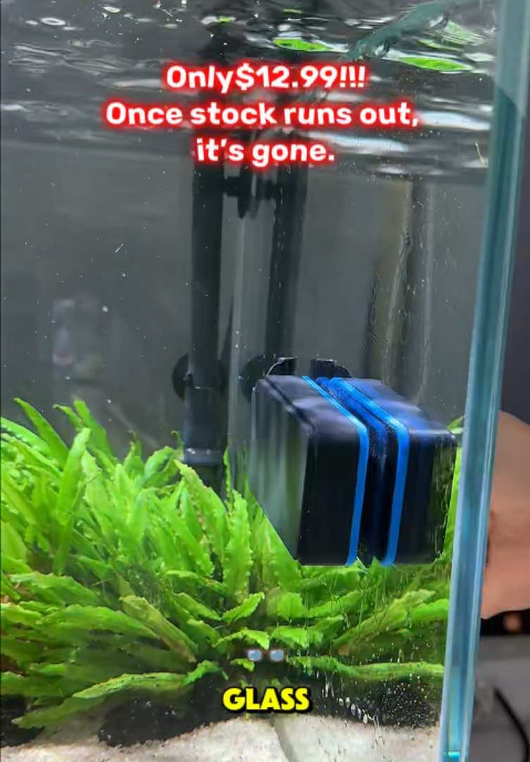 @AQQA Aquarium Store