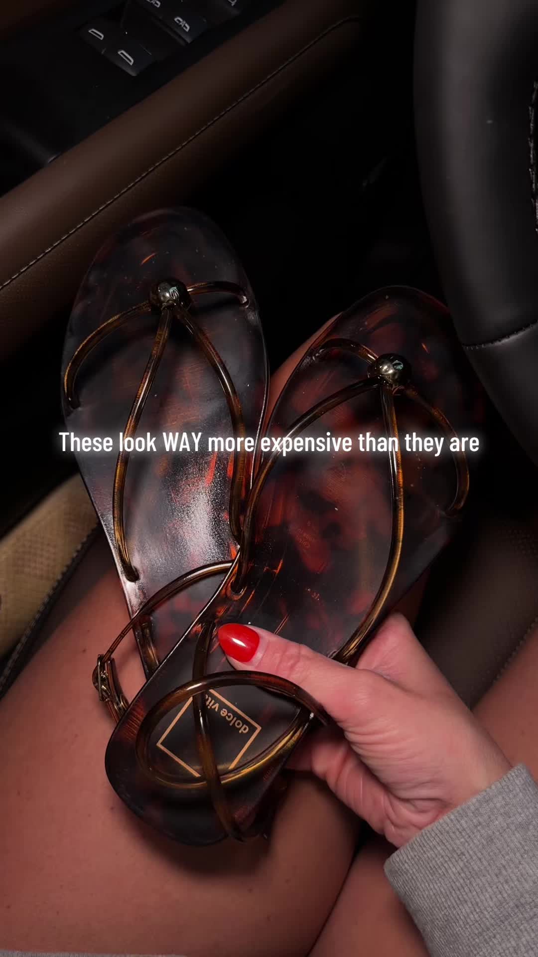 @HayleySuiter