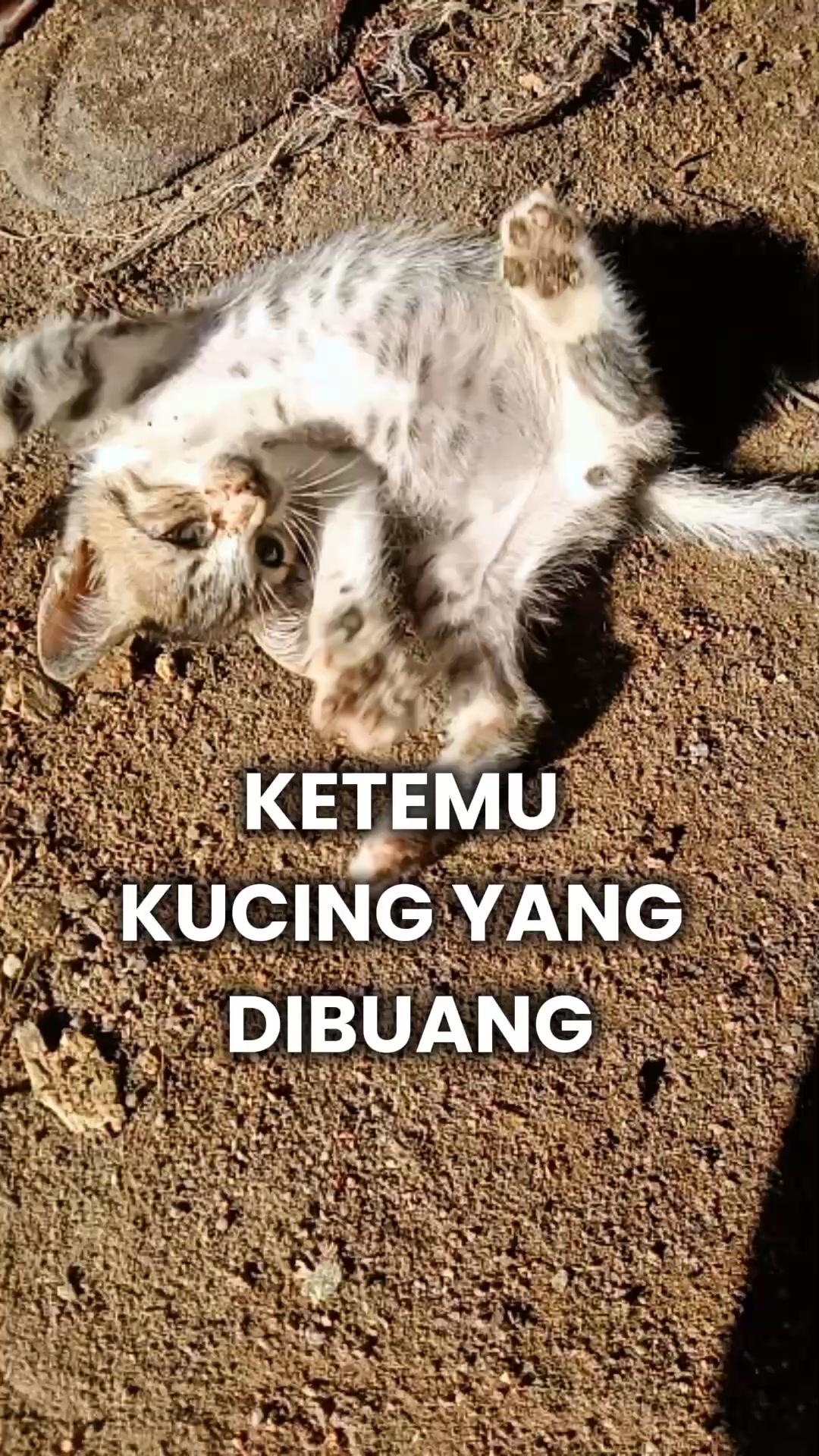 @Ziza Cemul