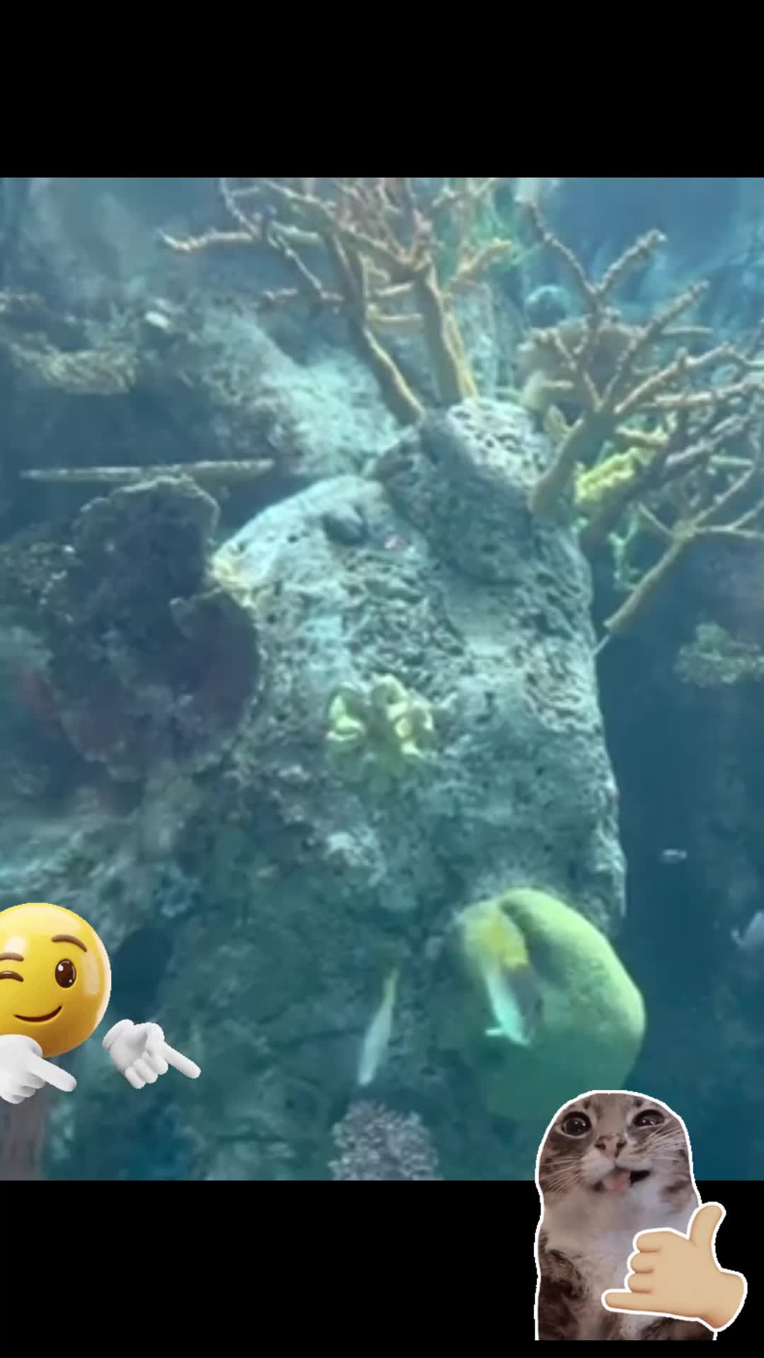 @Britthundo