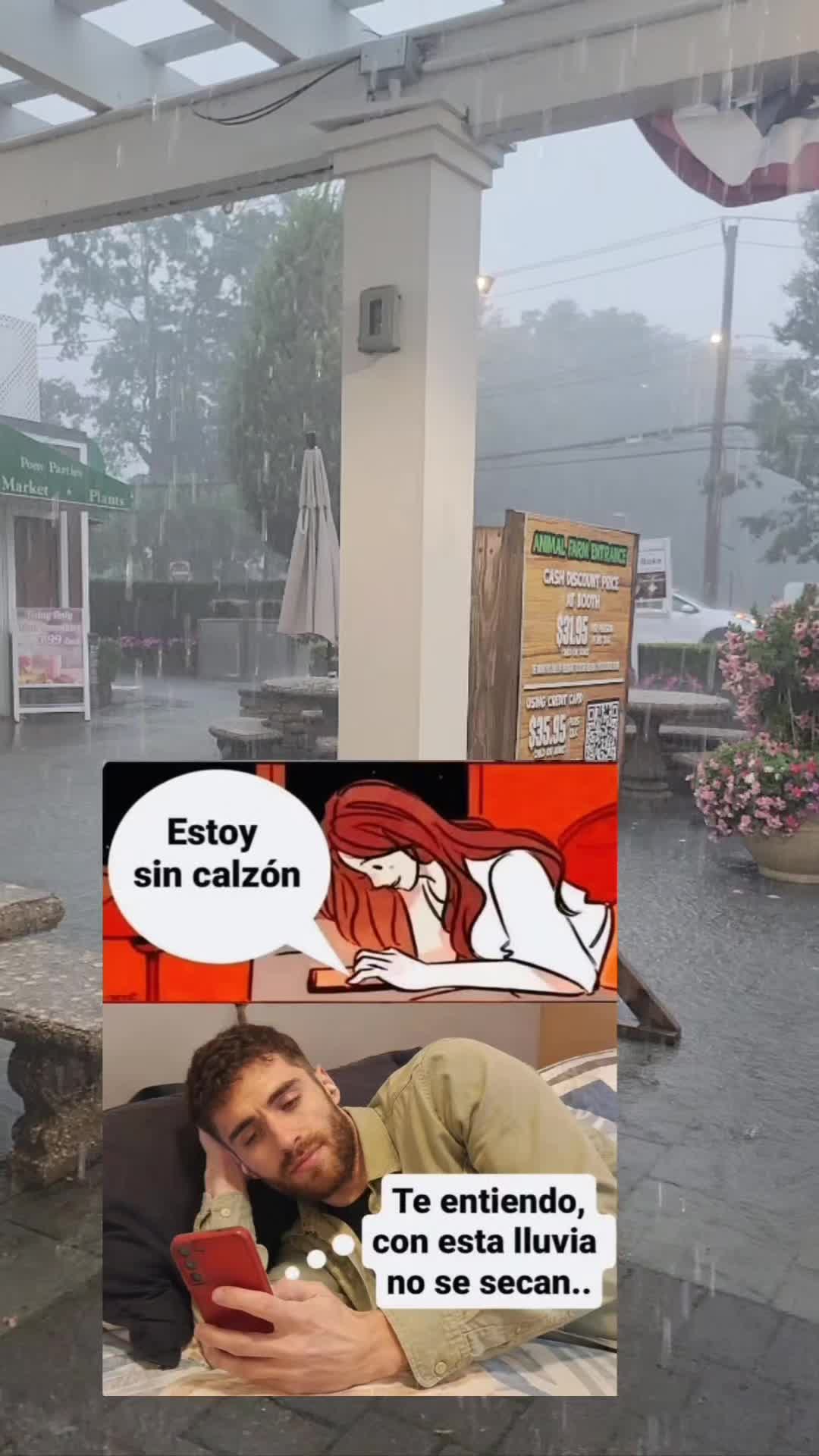 @el panda solitario
