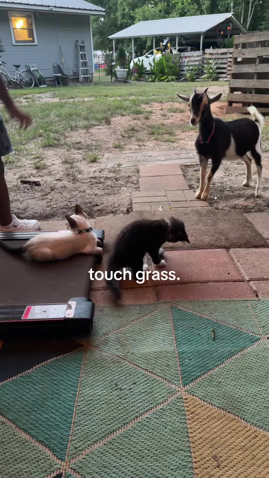 @K9