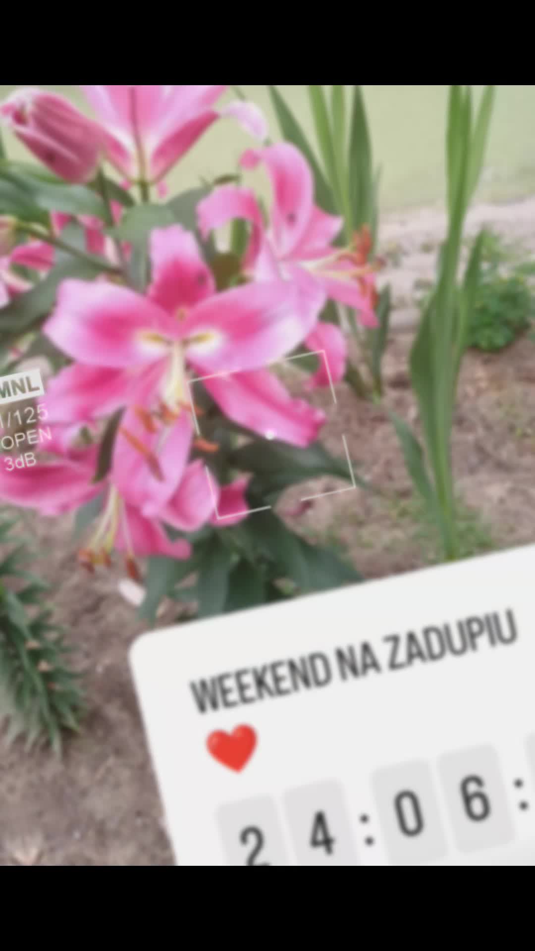 @Margo_Virgo