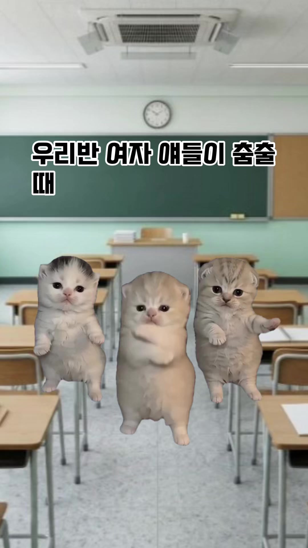 @박줄격