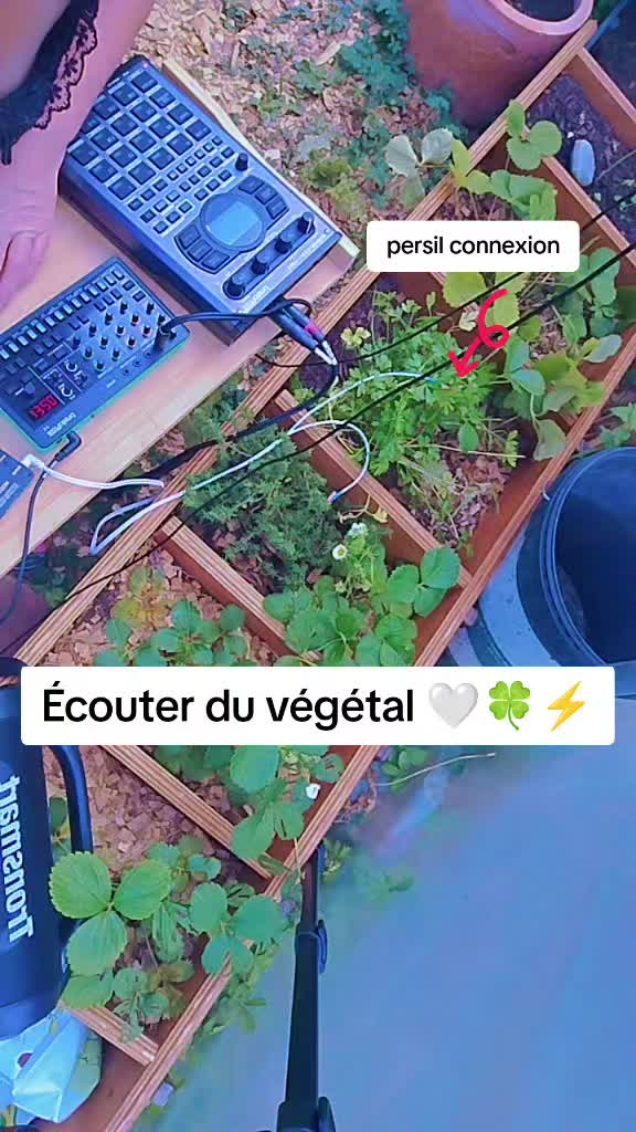 @Dr Free Fréquences