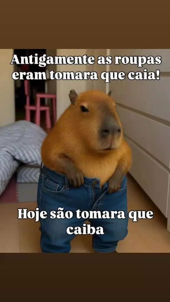 @cristianeandrade989