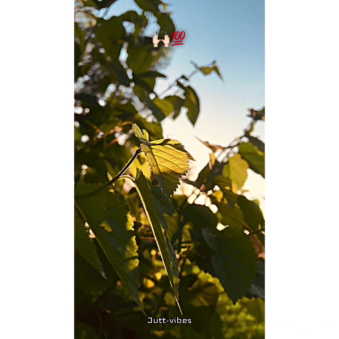 @𝐏𝐔𝐍𝕵𝐀𝐁👳🏻♂️🌾
