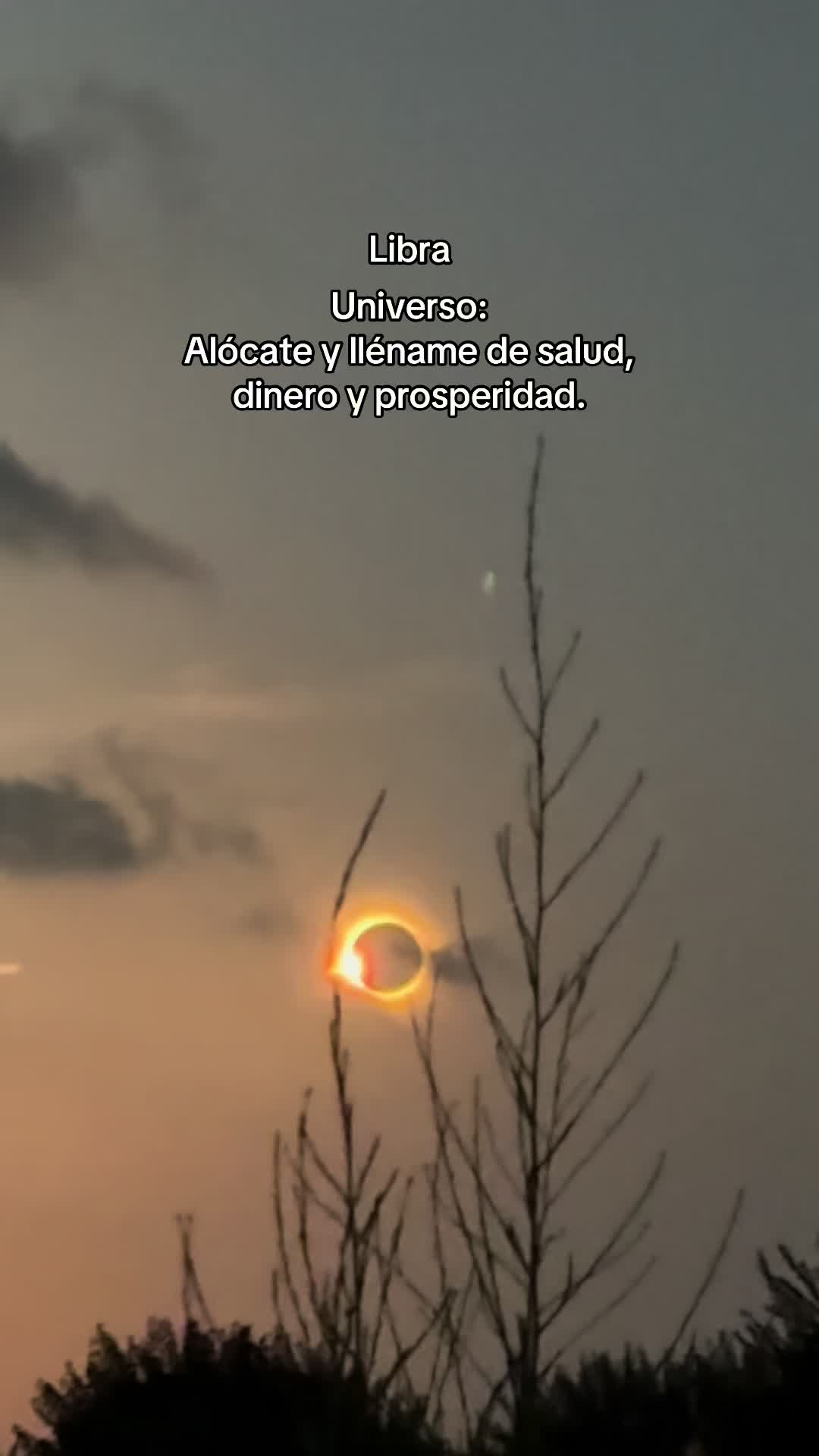 @kaam_oficial