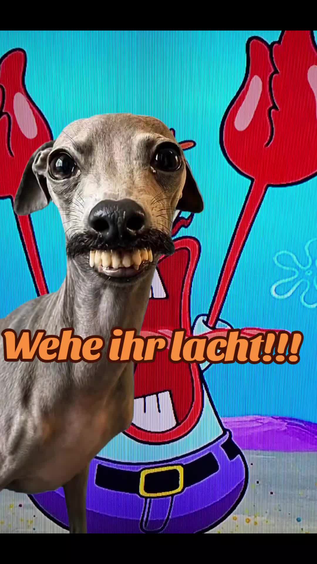 @Anni_robbe1089