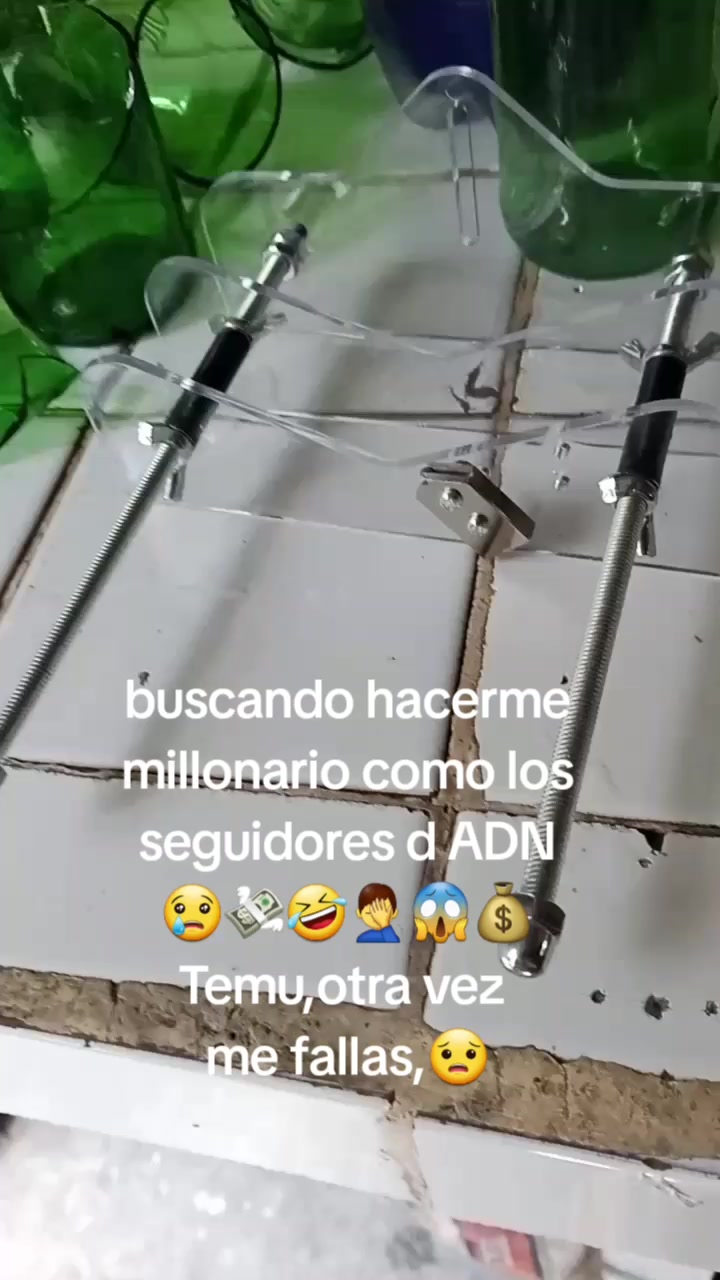 @Pedro Miguel