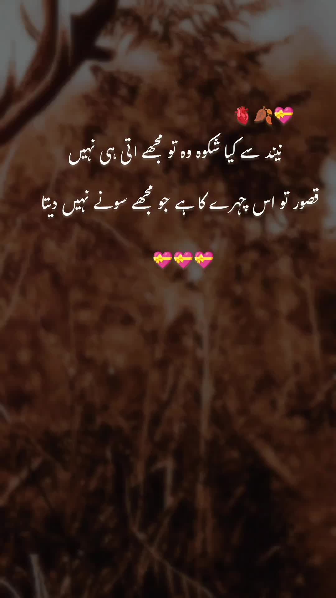 @sidra🌺