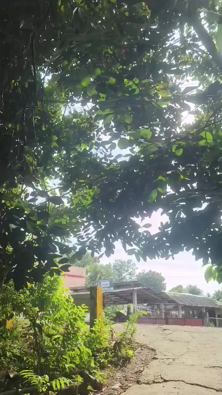 @Red