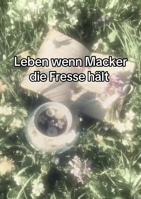 @5Raumfenster
