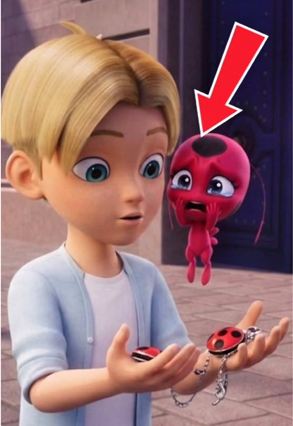 @Sección Kitty