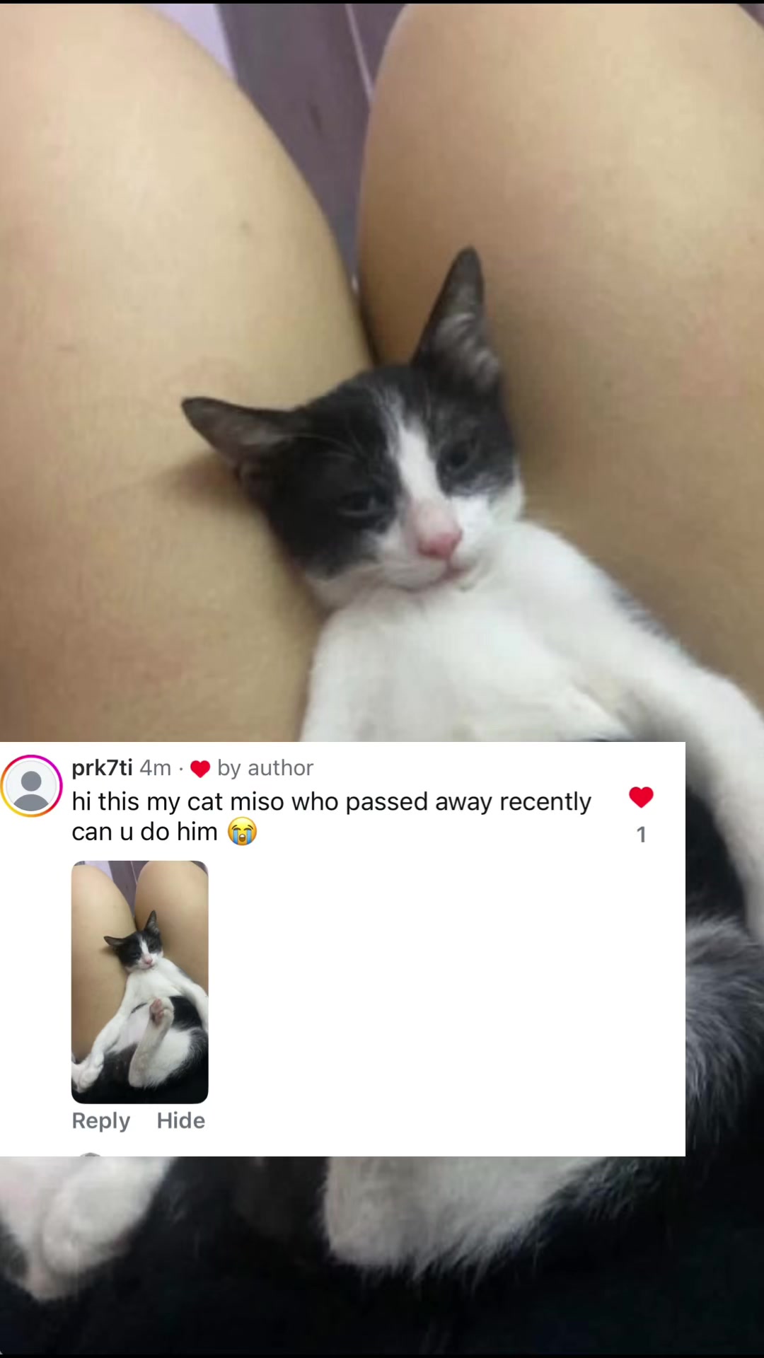 @LimpBisqueef