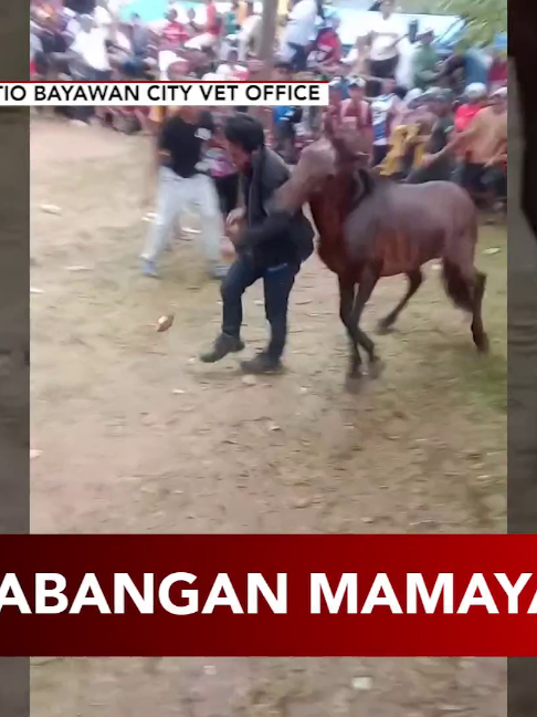 @24 Oras