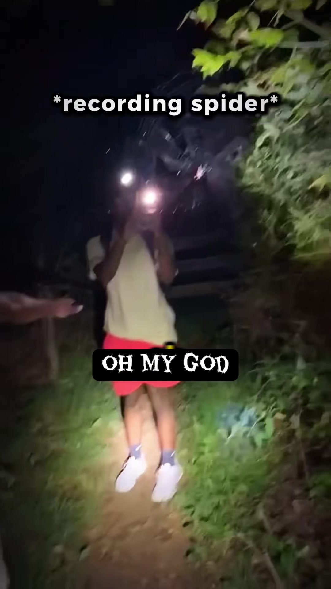 @Creepychronicles