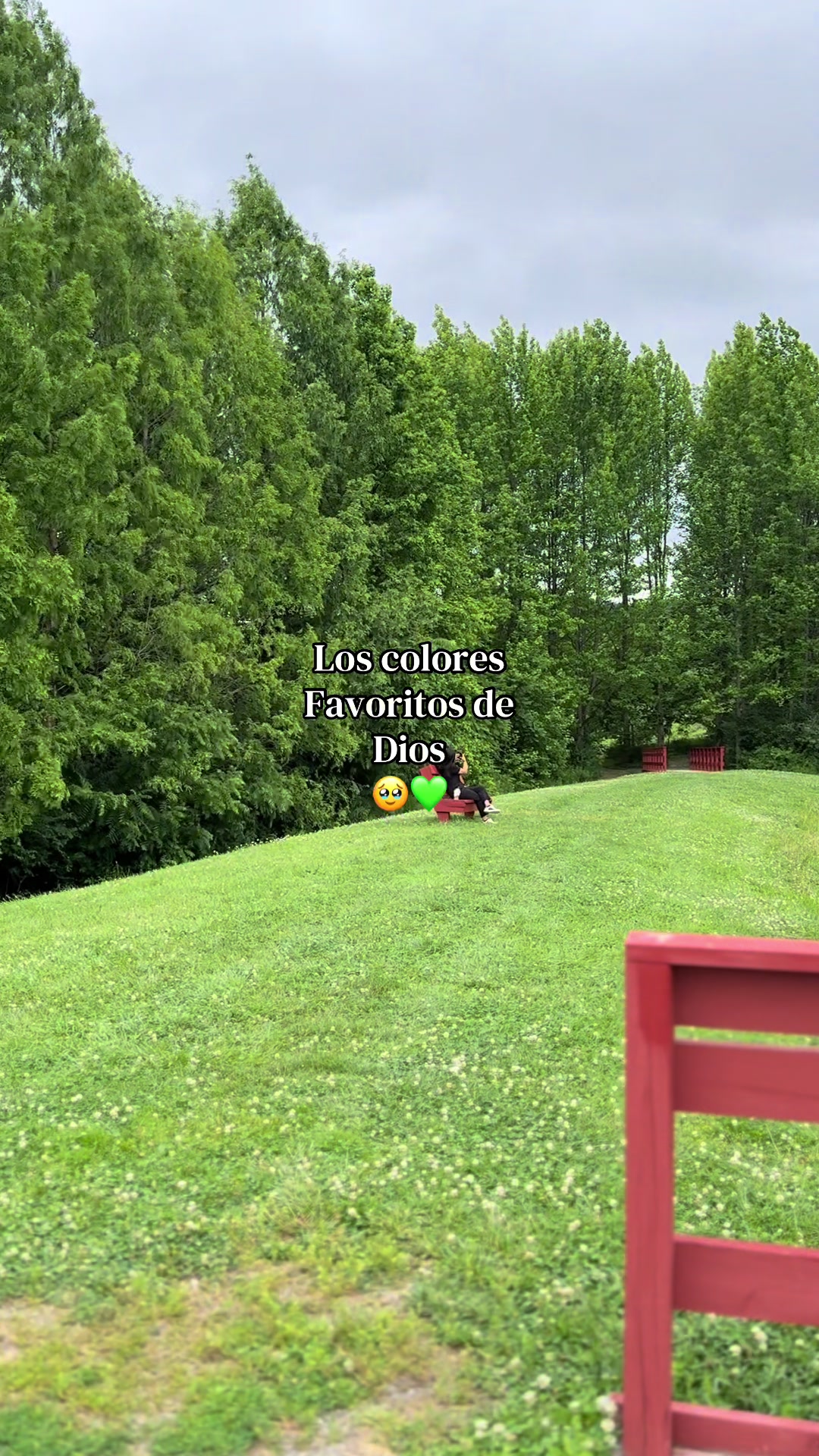 @🤍✨.