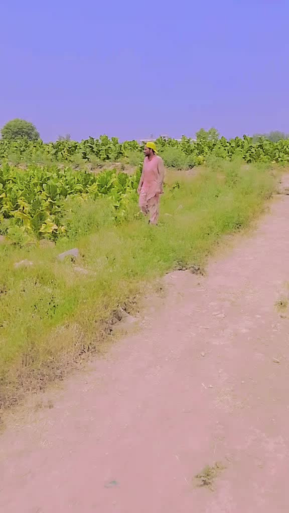 @Ijaz Khan