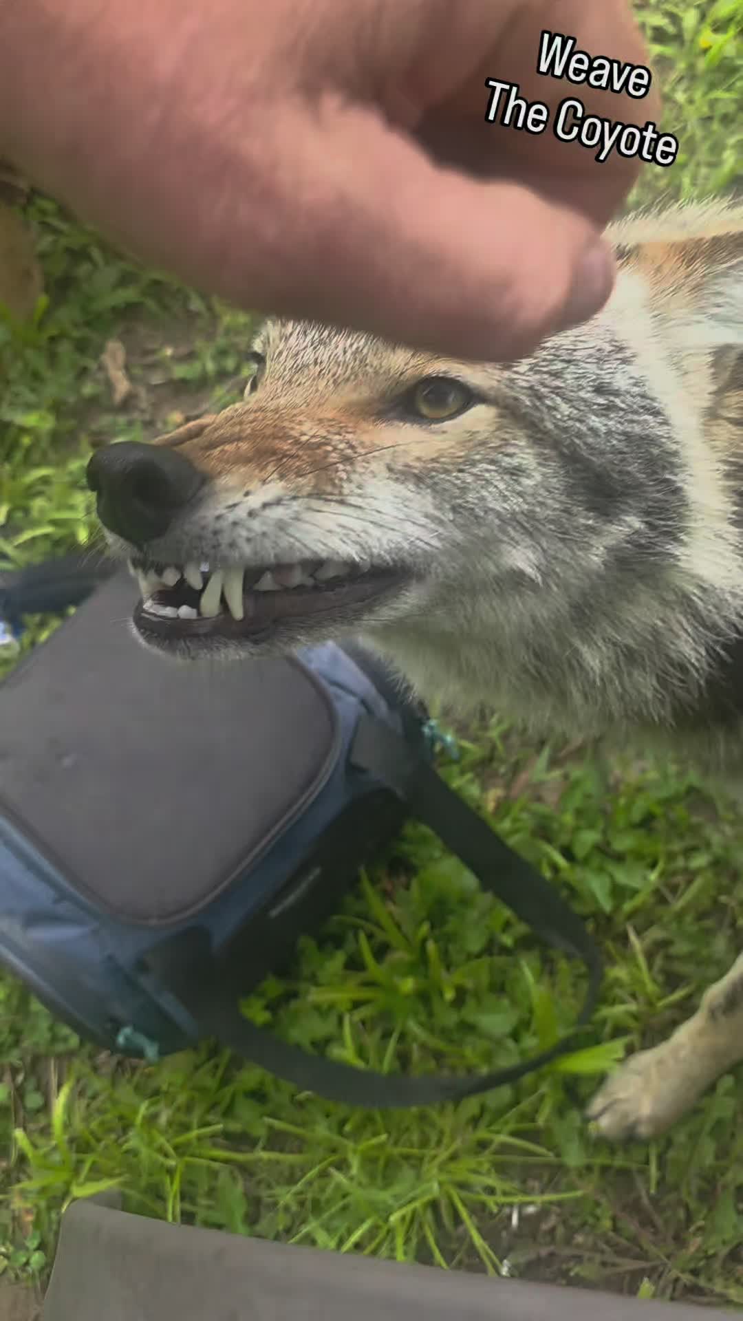 @Timmy Mc