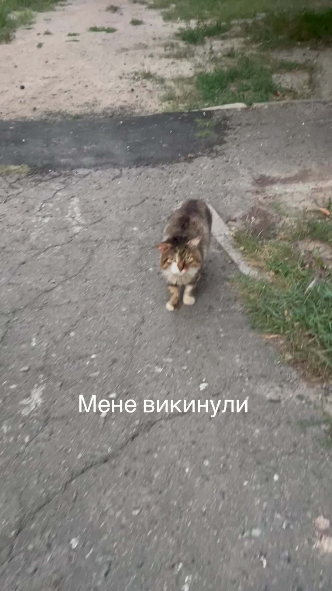 @Алиса