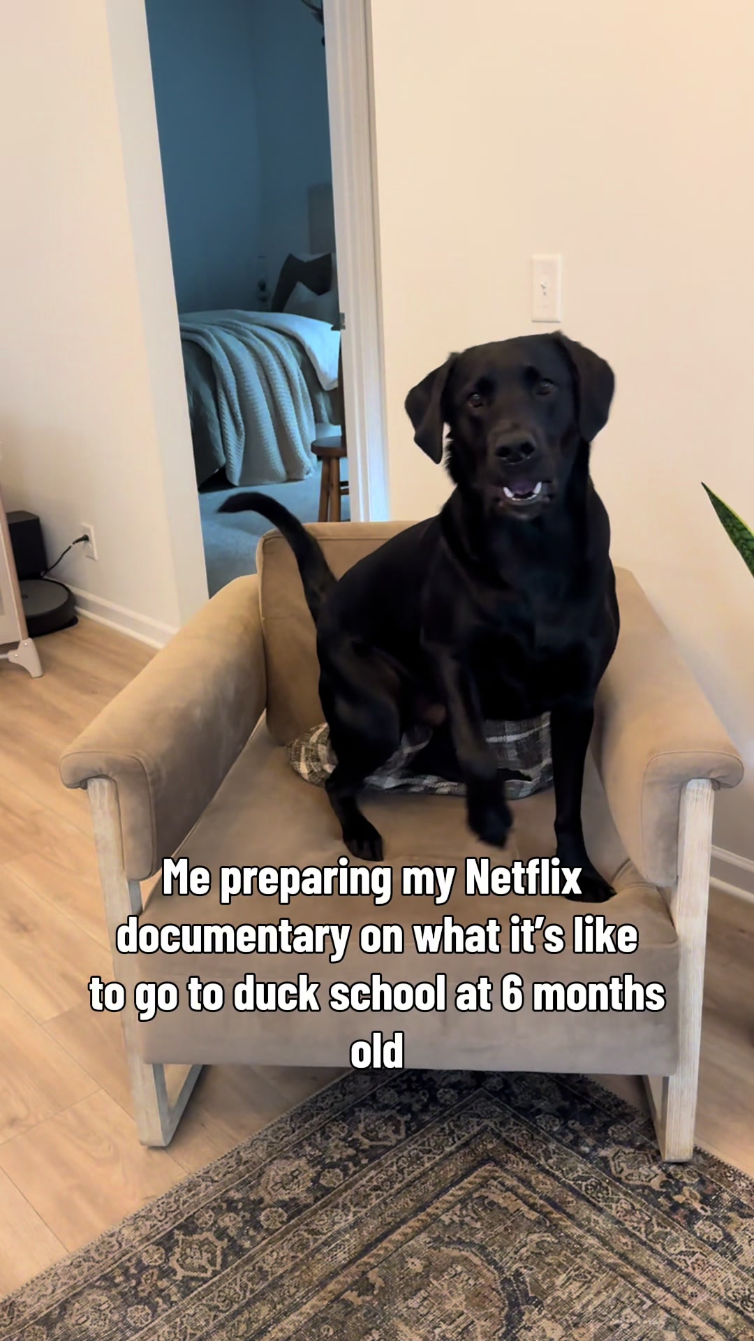 @ghostblacklab