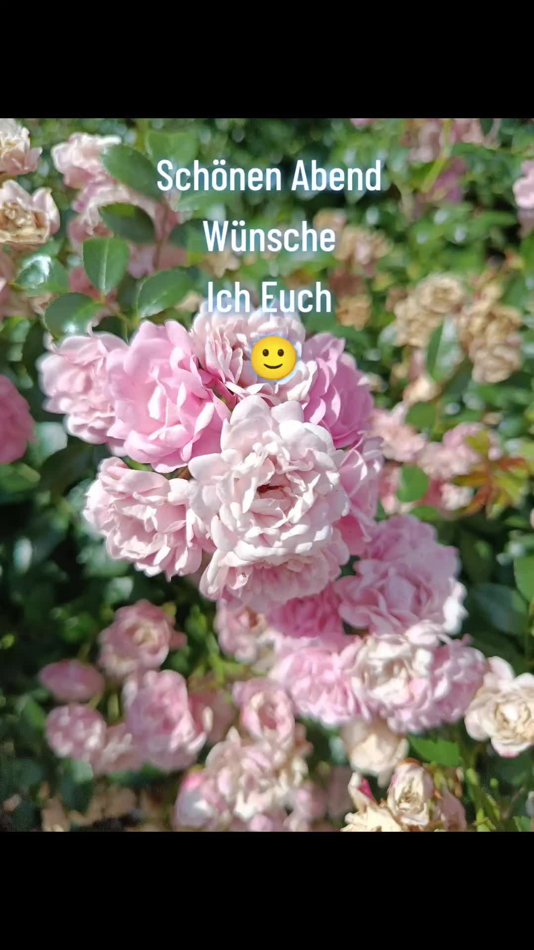 @44OLA4