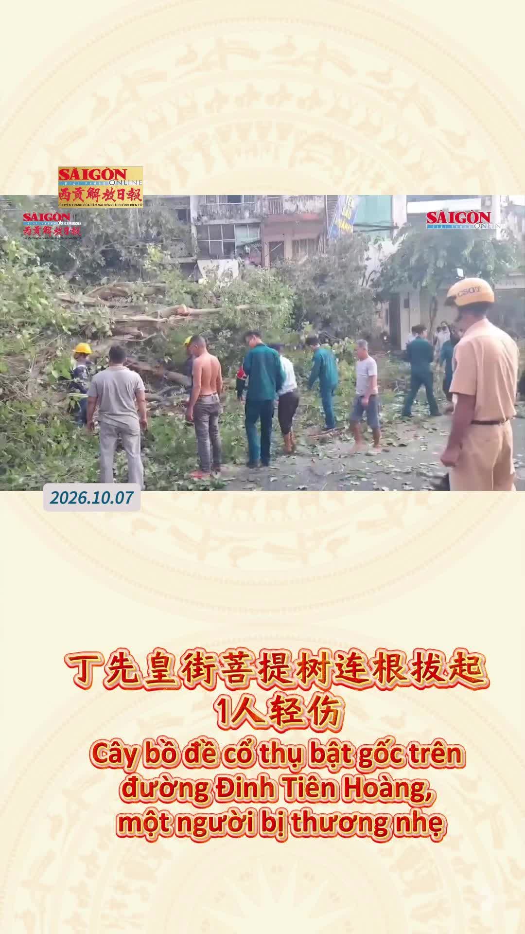 @西贡解放日报-Báo SGGP bản Hoa văn